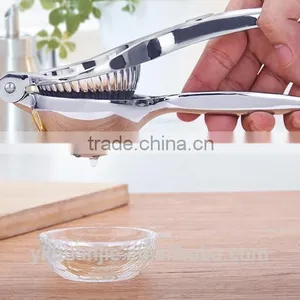 Lemon Juice for Steak thumbnail-2