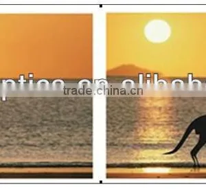 High Quality Demo Polarized Test Card thumbnail-1