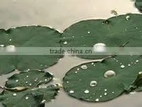 Super Hydrophobic Coating Manufacturer/China thumbnail-1