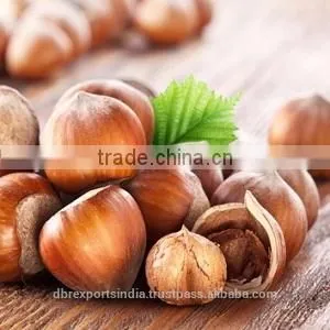 Hazelnut Oil (100% Pure in Bulk) thumbnail-1
