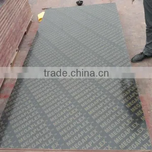 Film Faced Plywood From Factory thumbnail-4