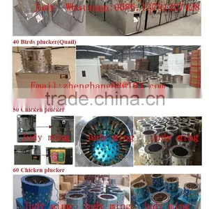 Chicken Egg Incubation Equipment Great Quality Egg Incubator Best Price Egg Hatching Machine Price thumbnail-4