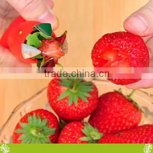 Hot Sale!Factory Supply Kitchen Gadgets Strawberry Dig Core Device,Tomatoes Dig Core Device,Strawberry Cutting Tools for Kitchen thumbnail-4