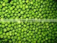 IQF Green Peas thumbnail-1