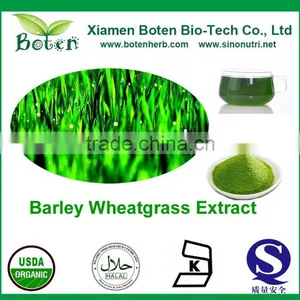 Natural Barley Wheatgrass Juice Extract/Barley Wheatgrass Powder/barley Wheatgrass Extract thumbnail-1