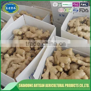 Professional Supplier,exporter Dry Ginger thumbnail-5
