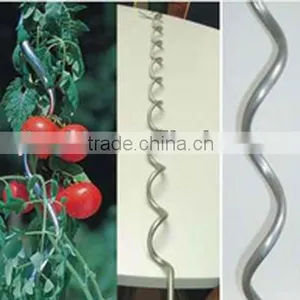 Tomato Spiral Wire thumbnail-1