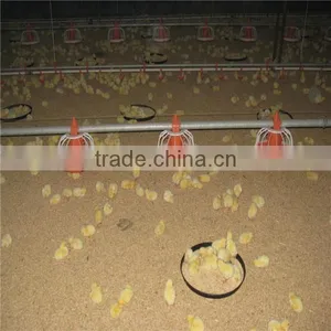Broiler Chicken Feeding Equipment thumbnail-3