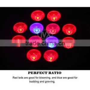Usb Table Lamp LED Grow Light Mini LED Bulb Lights E27 LED Grow Light thumbnail-4
