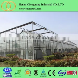 Many Styles Wholesale Newest Film Vegetable Seeds Greenhouse thumbnail-2