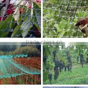 High Strength HDPE Vineyard Anti Bird Netting / Bird Protection Netting thumbnail-5