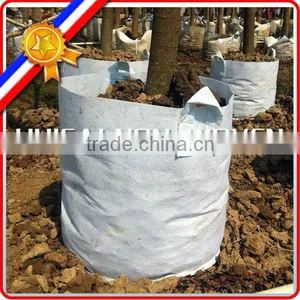 Non Woven Polyester Planting Felt, Grow Felt, Plating Non Woven thumbnail-2