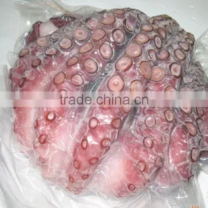 Frozen Blanched Octopus Flower Type thumbnail-2