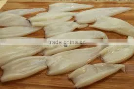 Frozen Whole Round Squid/ Frozen Squid/ Vietnam Seafood thumbnail-5