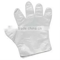 CE/ISO Food Processing PE Gloves/Polyethylene Gloves thumbnail-1