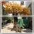 Artificial Decorative Tree 3meter Large Outdoor Gold Artificial Tree Branches and Leaves thumbnail-3
