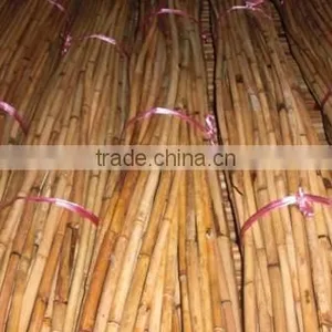 Rattan Golden Baladi thumbnail-1