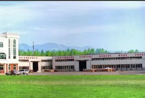Lianyungang Donghai Danube Wood Products Co.,ltd. company overview - view 1 thumbnail
