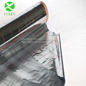 The Best Aluminum Coated Metallized PET Reflective Insulation Factory Price thumbnail-1