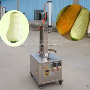 Stainless Steel Pumpkin Papaya Peeling Machine From Factory WT/8613824555378 thumbnail-3