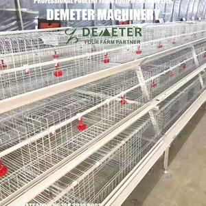 Best Chicken Cage thumbnail-4