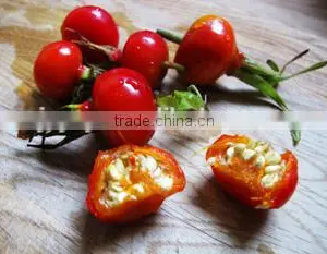 Top Supplier Offer Natural Rosehip Oil for Hair thumbnail-1