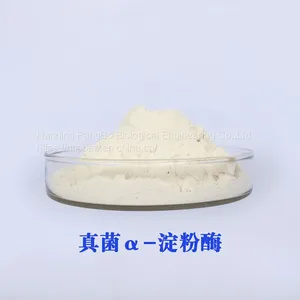 Fungal Amylase CAS：9013-01-8 Food Grade thumbnail-2