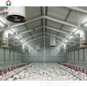 Chicken Broiler Houses thumbnail-4