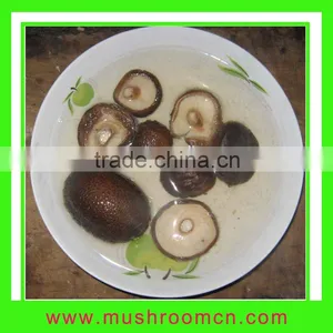 Canned Shiitake in Brine thumbnail-1