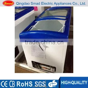 -18 Degree Sliding Glass Door Ice Cream Chest Freezer thumbnail-1