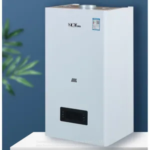 MS-1 20kw Hot-selling Lpg/Ng Wall Mounted Instant Gas Water Heater / Gas Boiler thumbnail-1