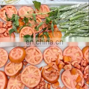 Commercial Fruit Dehydrator/food Vacuum Dehydrator/food Freeze Dryer thumbnail-5