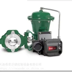 Fisher 8580 High-performance Butterfly Valve thumbnail-1