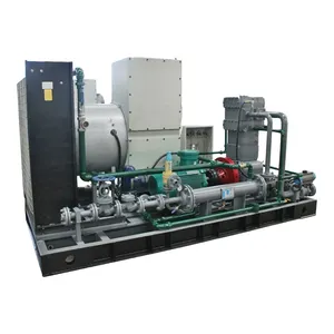 Variable Frequency Explosion-Proof CO2 Recovery Booster Compressor for Oilfield Associated Gas Recovery thumbnail-2