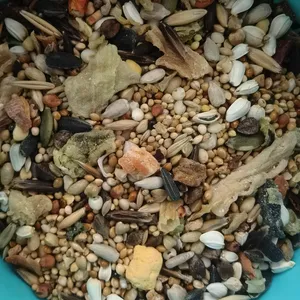 Mixed Seed Bird Treat With Fruits and Vegetables thumbnail-3