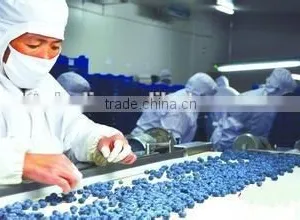 Bulk Frozen Blueberries thumbnail-2