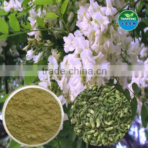 Sophora Japonica Extract Isoquercitrin Rutin thumbnail-1