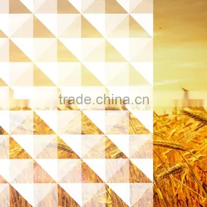 2015 Window Smart Tint Film Glass Film thumbnail-4