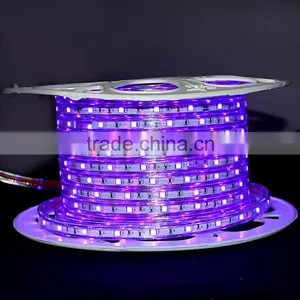 2016 Christmas Outdoor Led Light Low Energy Swimming Poor 220-240v SMD3528 Flexible Led Strip Light Christmas Decoration thumbnail-2