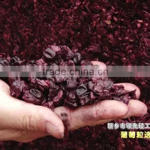 JCP-5 Grape Stemer and Crusher thumbnail-2