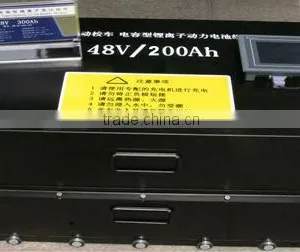 4 Wheels Electric Vehicle LiFePO4 Battery Packs thumbnail-1