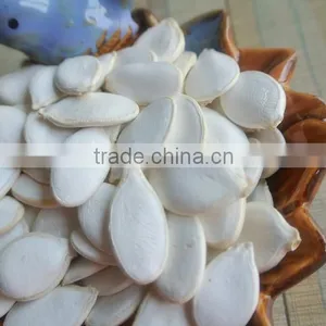 ISO 22000 Factory Supply Herb Snow White Pumpkin Seeds Extract b Protein Powder thumbnail-3