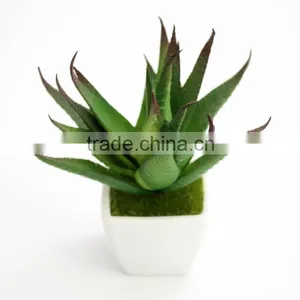 Wholesale Indoor Home Decoration Artificial Plant With Cement Flower Pot thumbnail-5