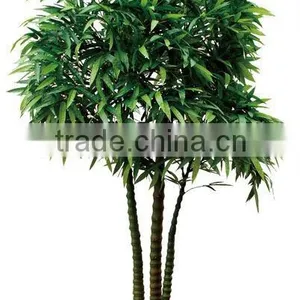 Artificial Bambusa Ventricosa Plant thumbnail-1
