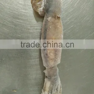 Illex Squid W/R thumbnail-5