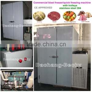 Stainless Steel 304 Air Cooled Quick Blast Freezer With Single Trolley thumbnail-3