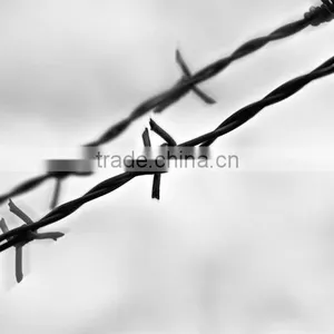 Low Price Good Quality Barbed Wire thumbnail-4