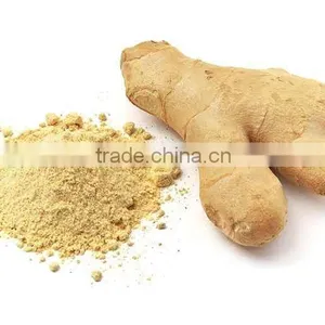 Ginger thumbnail-1