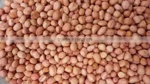 Best Price Bold Peanut Certified Supplier From India thumbnail-5