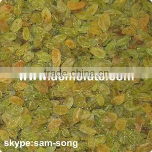 Big Size Sweet Green Raisin Hot Sale thumbnail-5